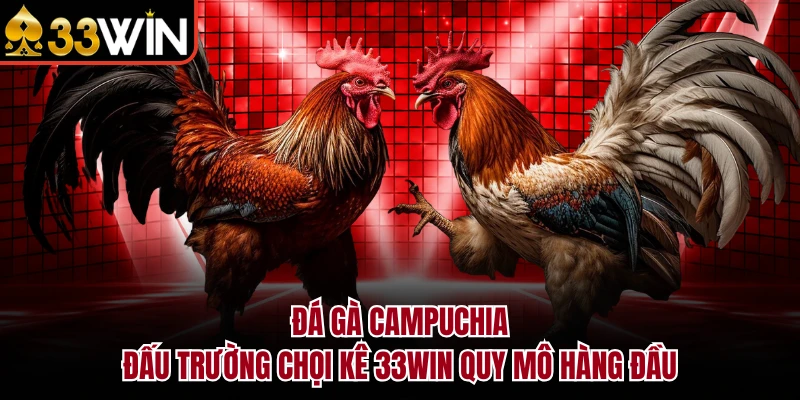 Đá Gà Campuchia – Khám Phá Đấu Trường Chọi Kê Đỉnh Cao 2026 9 Đá Gà Campuchia - Đấu Trường Chọi Kê 33WIN Quy Mô Hàng Đầu