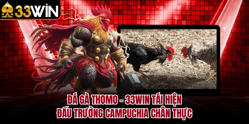 Đá Gà Thomo - 33WIN Tái Hiện Đấu Trường Campuchia Chân Thực 7 Đá Gà Thomo - 33WIN Tái Hiện Đấu Trường Campuchia Chân Thực